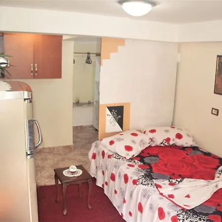 Tirana's Stay! * Tiran